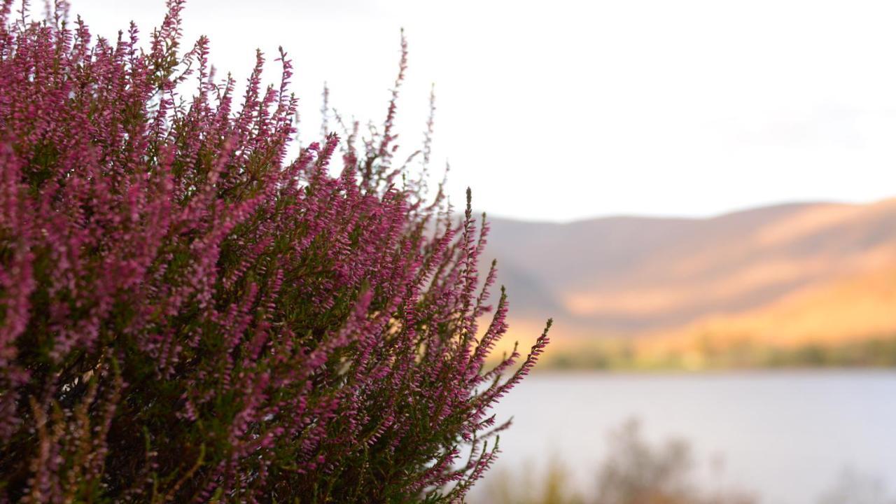 Torlinnhe Fort William Bagian luar foto